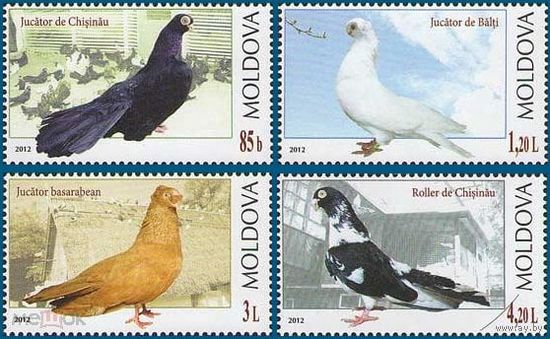 Молдова 2012.  Птицы  голуби 4 марки (456)