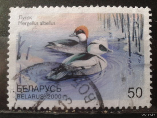 2000 Утки