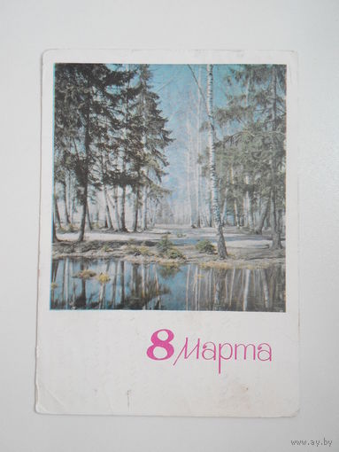 Матанов Н. Дергилев И., 8 марта. 1966 год #0027-KM1P14
