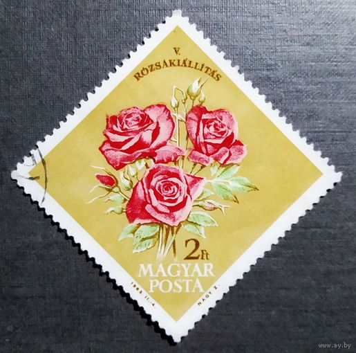 Марка Венгрия 1963 год Цветы