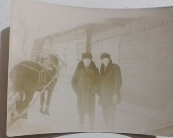 Фото в коллекцию