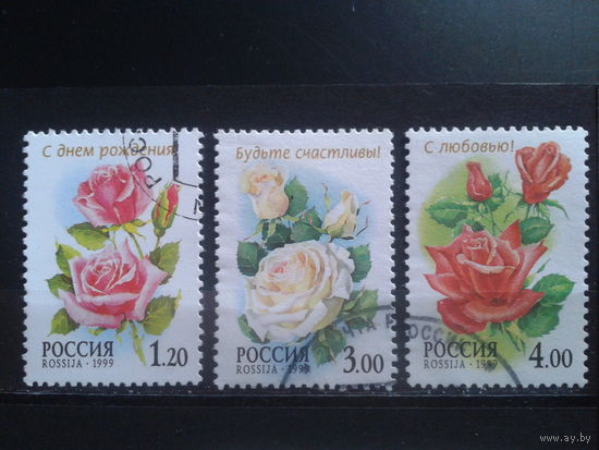 Россия 1999 Розы