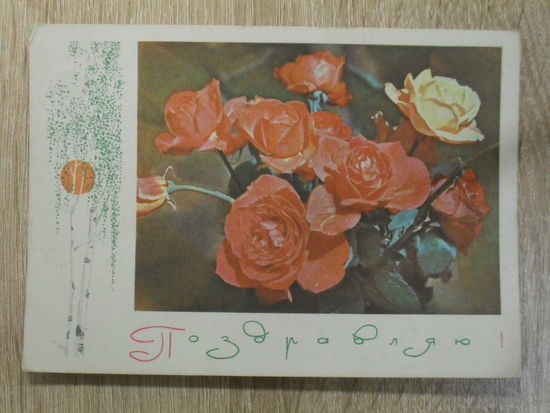 ПОДПИСАННАЯ ОТКРЫТКА СССР. "ПОЗДРАВЛЯЮ" фото. А. ГЕОДАКОВА 1969 год.