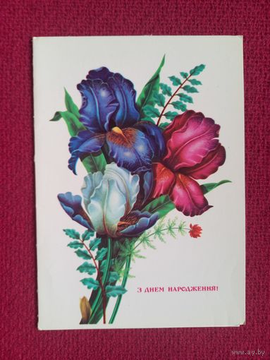 С Днем Рождения! Лисецкий 1983 г. Двойная. Кр1.
