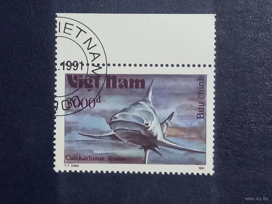 Вьетнам. 1991г. Акула