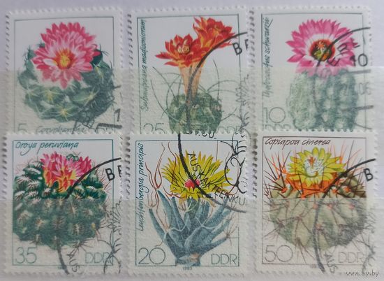 Германия. 1983г. Кактусы.