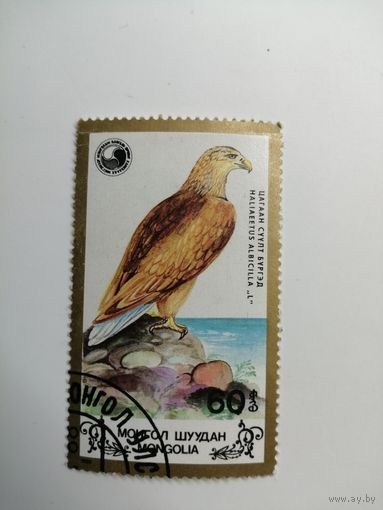 Монголия 1988. Орлы