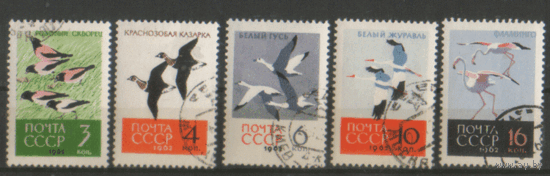 Заг. 2703/07. 1962. Птицы. ГаШ.