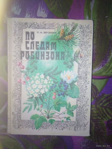 Верзилин, По следам Робинзона