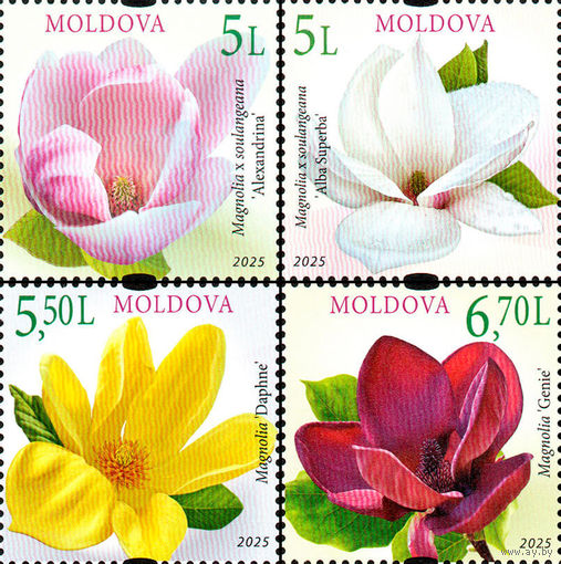 Молдова 2025. Флора. Цветы магнолия 4 марки (939)