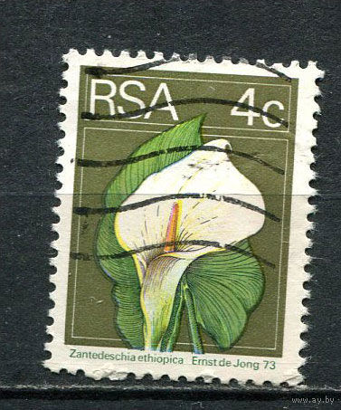 Южная Африка - 1974 - Калла 4С - [Mi.450] - 1 марка. Гашеная.  (Лот 58HG)-T41P17