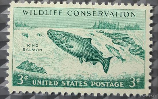 1956  Охрана дикой природы : "Королевский лосось "США