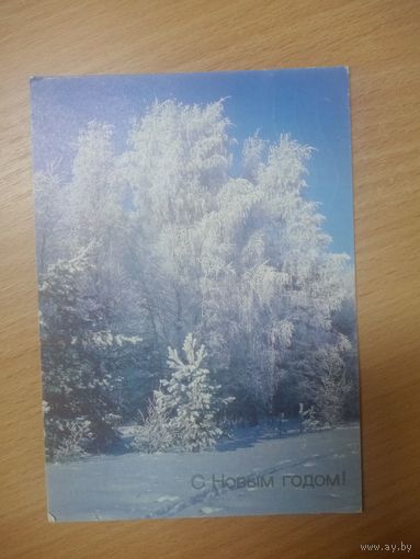 Открытка. С Новым годом! Фото В. Дорожинского. 1990 г.