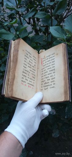 СТАРИННАЯ ЦЕРКОВНАЯ КНИГА ЧАСОСЛОВ ЧАСОВНИК 1909 ГОД УРАЛЬСОСТОЯНИЕ ! НА  ФОТО . ОРИГИНАЛ  .  Распродажа Коллекции !!! . Экспресс  Аукцион  не с рубля без МПЦ и прочего 3 ДНЯ  .Много лотов в продаже .