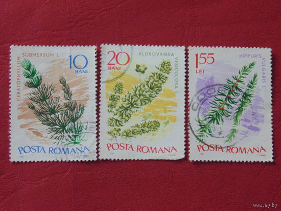 Румыния 1966 г. Цветы.