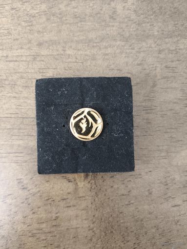 Федерация футбола Беларуси