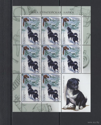 Фауна собаки Беларусь 2010 Малый лист коллекционных марок "Русско-европейская лайка"