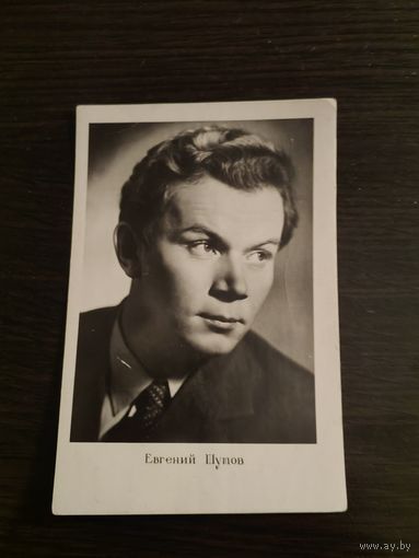 Артисты шутов