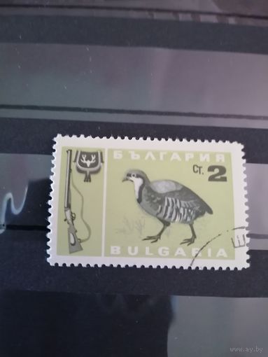 Болгария 1967 фауна