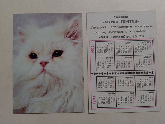 Карманный календарик. Котик.1992 год