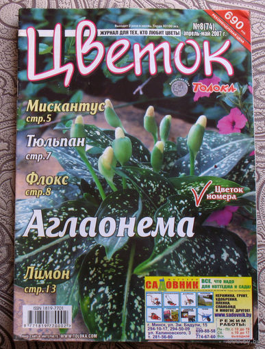 Цветок номер 8 2007, 9 2007