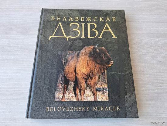 Белавежскае дзіва - Беловежское чудо - автограф - на белорусском и английском - Чэркас, Бышнёў - фотаальбом 2009 - да 600 годдзя усталявання запаведнага рэжыму у Белавежскай пушчы - открытки, карты, ф