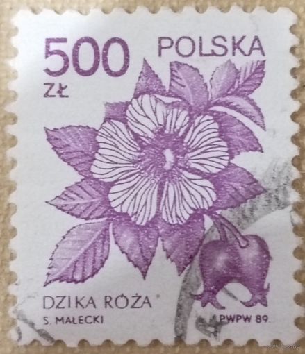 Польша 1989. Флора. Дикая роза