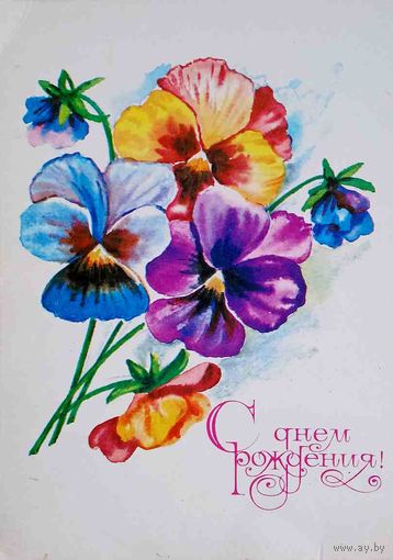 С днем рождения 01