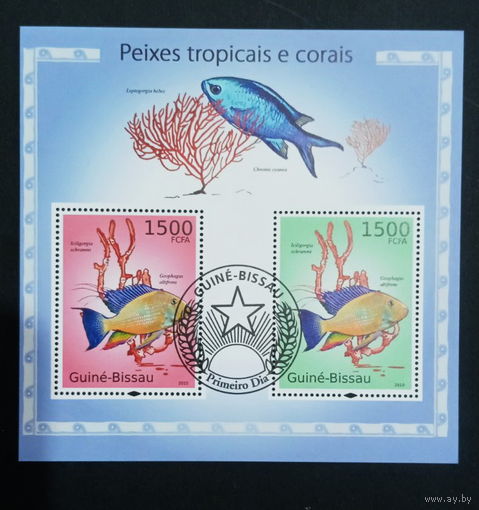 ФАУНА РЫБЫ МОРСКИЕ ОБИТАТЕЛИ    БЛОК  сто