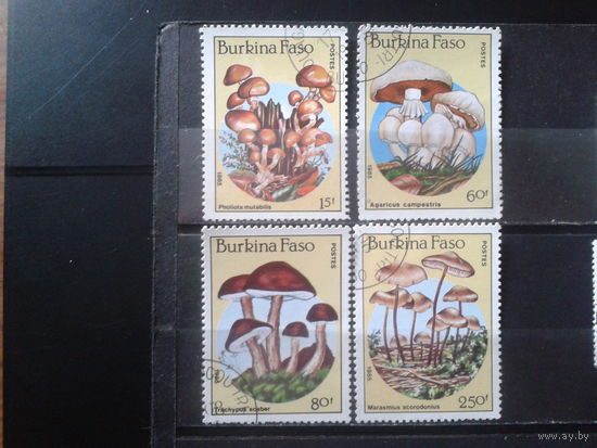 Буркина Фасо 1985 Грибы
