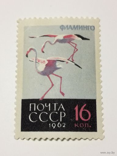 1962 СССР. Птицы. Фламинго