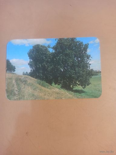 Календарь 1989/4