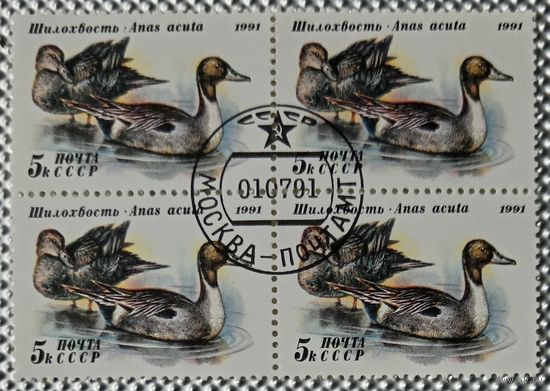 1991 год. Квартблок. Утки. гаш.