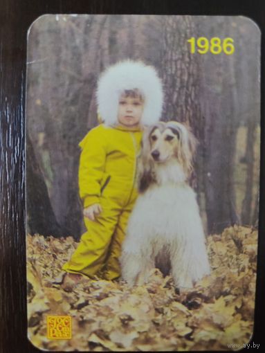 Календарик карманный страхование