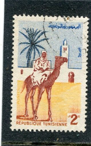 Тунис. Всадник на верблюде
