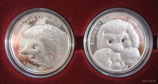 Вожык, Вожыкі (Еж, Ежи) 20 рублей. 2011г. Серебро.