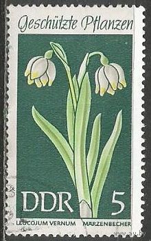 ГДР. Цветы. Белоцветник весенний. 1969г. Mi#1457.