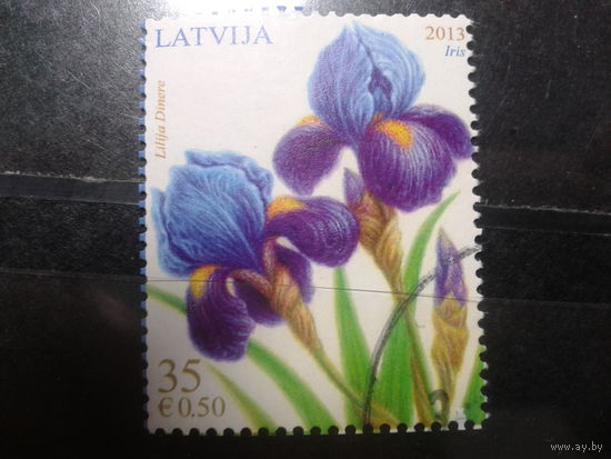 Латвия, 2013. Ирисы