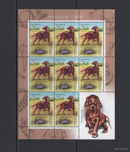 Фауна собаки Беларусь 2010 Малый лист коллекционных марок "Ирландский красный сеттер"