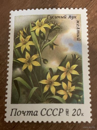 СССР 1983. Гусиный лук желтый. Марка из серии