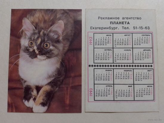Карманный календарик. Котик.1992 год