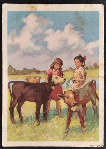 Куприянов С. На лужайке. 1955 г.