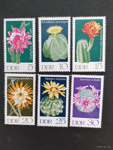 ГДР 1970 Полная серия марок "Кактусы" (чистые**) Mi.1625-1630 каталог 3.00 евро