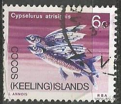 Кокосовые острова. Летающая рыба. 1969г. Mi#13.