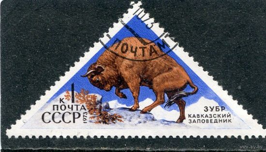 СССР 1973.. Заповедник. Зубр