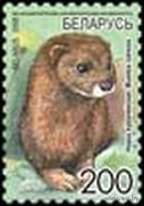 Марки Беларусь 2008 год. Норка. 725.
