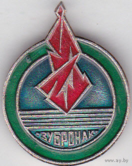 Пионерлагерь "Зубренок" (Минская область).