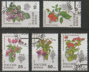 РФ. Заг. 77/81. 1993. Комнатные растения. Гаш.