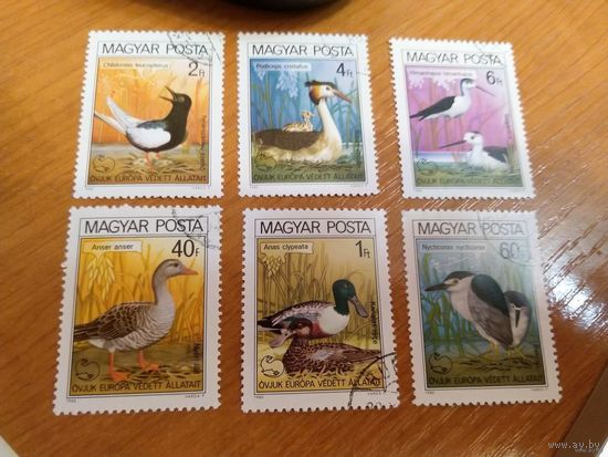 1980 Венгрия фауна птицы (5-8)
