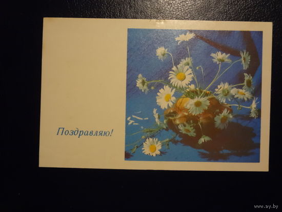 Поздравляю!  Ромашки. 1970 г.  подписанная.